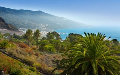 Qué hacer durante tus primeros 90 días en Tenerife siendo extranjero
